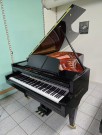 Fl&uuml;gel B&ouml;sendorfer Modell 212cm neuwertig general&uuml;berholt