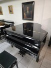 Fl&uuml;gel Fazioli Modell F183 general&uuml;berholt