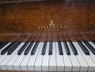 Fl&uuml;gel Steinberg Berlin