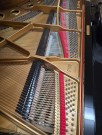 Fl&uuml;gel Fazioli Modell F183 general&uuml;berholt